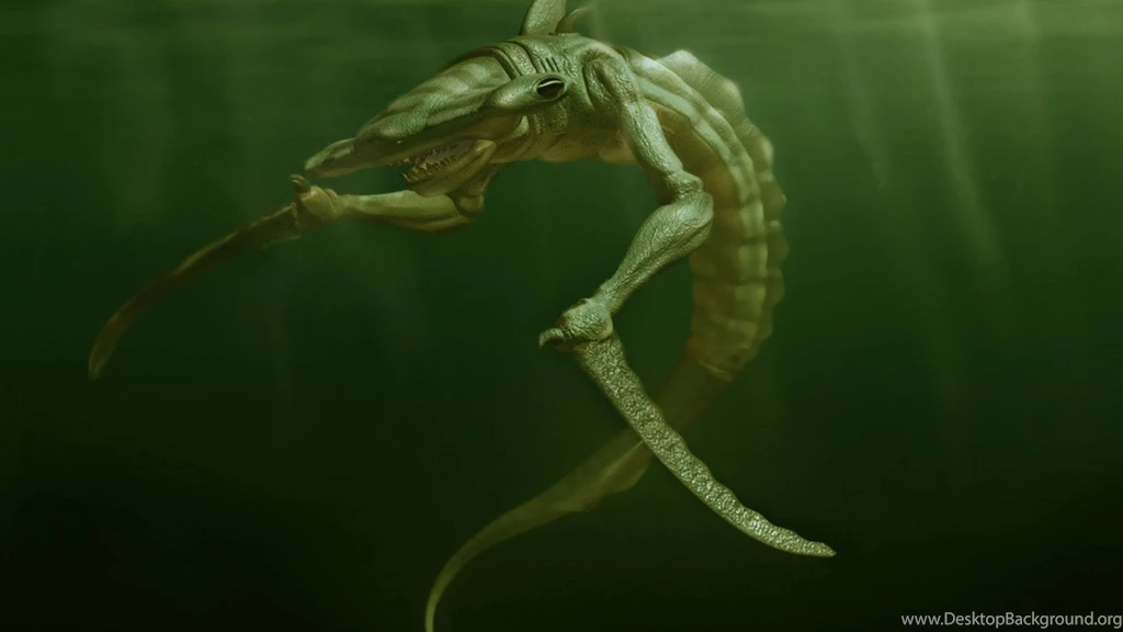 Sea Monster Creature Hd Wallpapers (