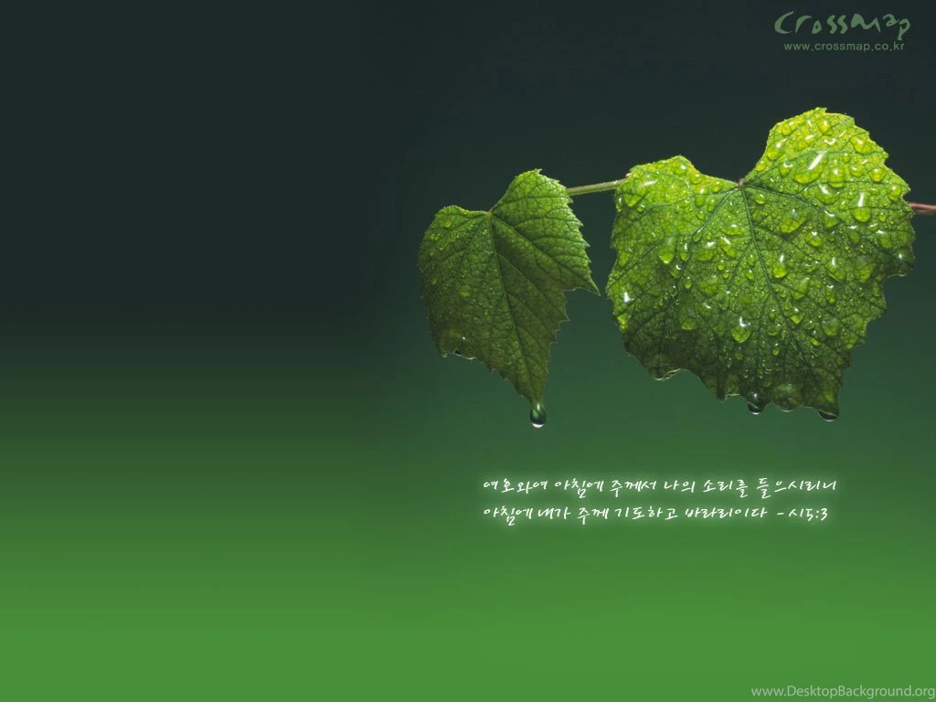 Christian Desktop Wallpapers With Scripture