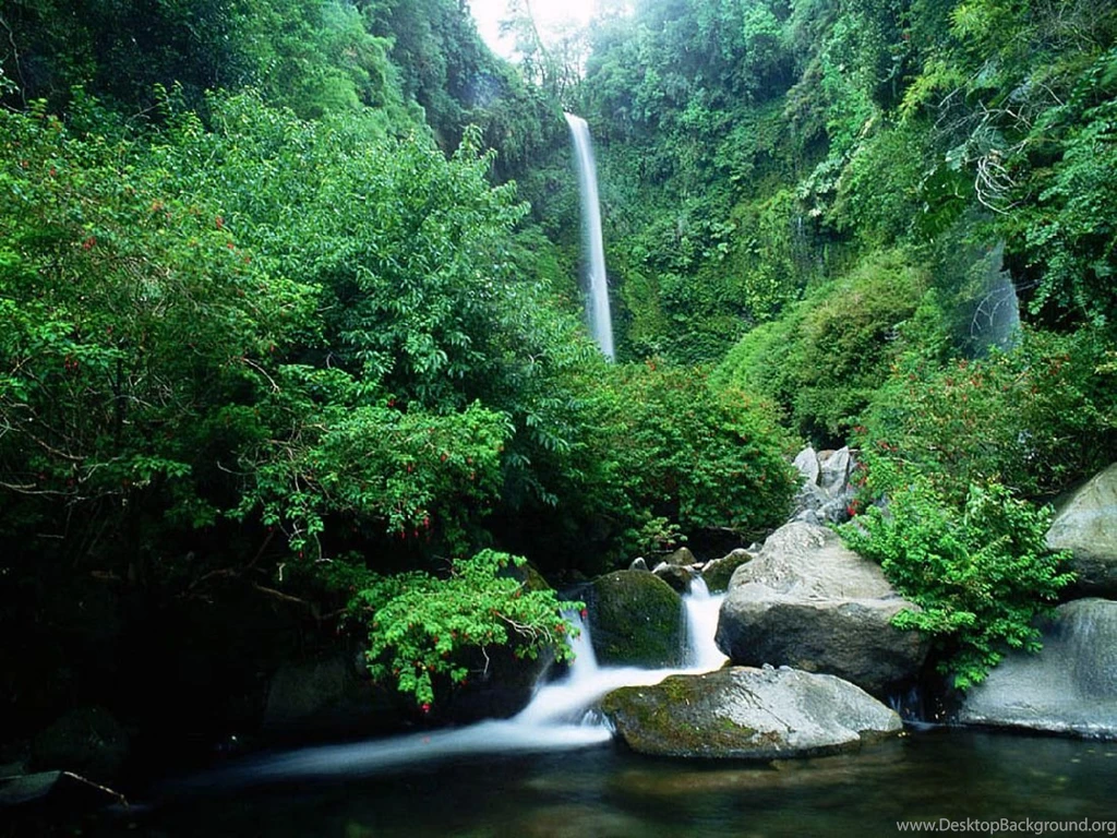 Waterfall Wallpapers