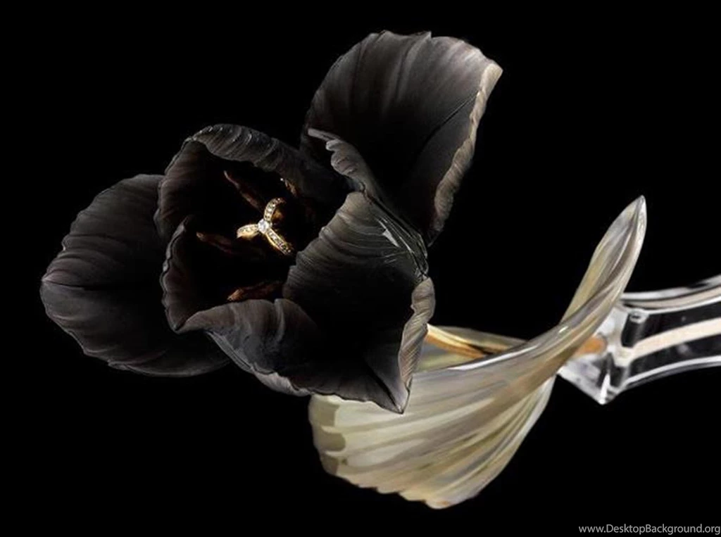 BLACK FLOWER WALLPAPER (