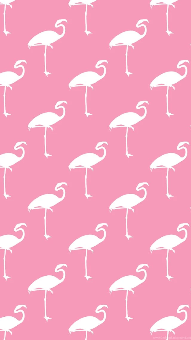 Flamingo Wallpapers Animal Wallpapers
