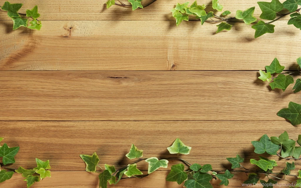 Wonderful Plant Wallpapers