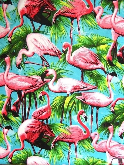 Flamingo Wallpapers