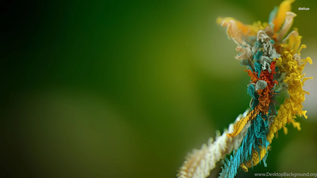 3d Colorful Plant Dekstop