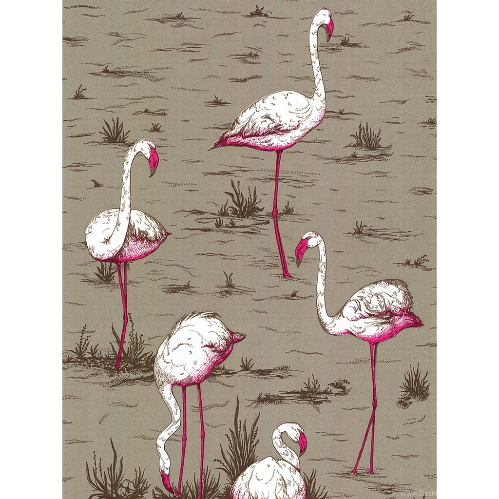 Buy Cole & Son Flamingos Wallpapers