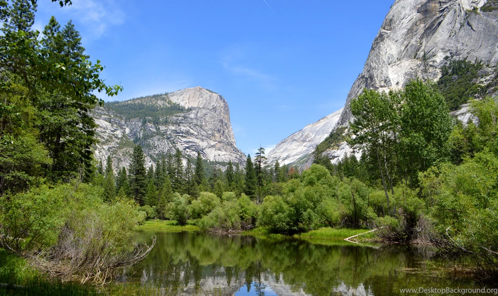 Download Forest Wallpapers Ultra HD 3k, 4k, 5k And 8k Hi Res ...