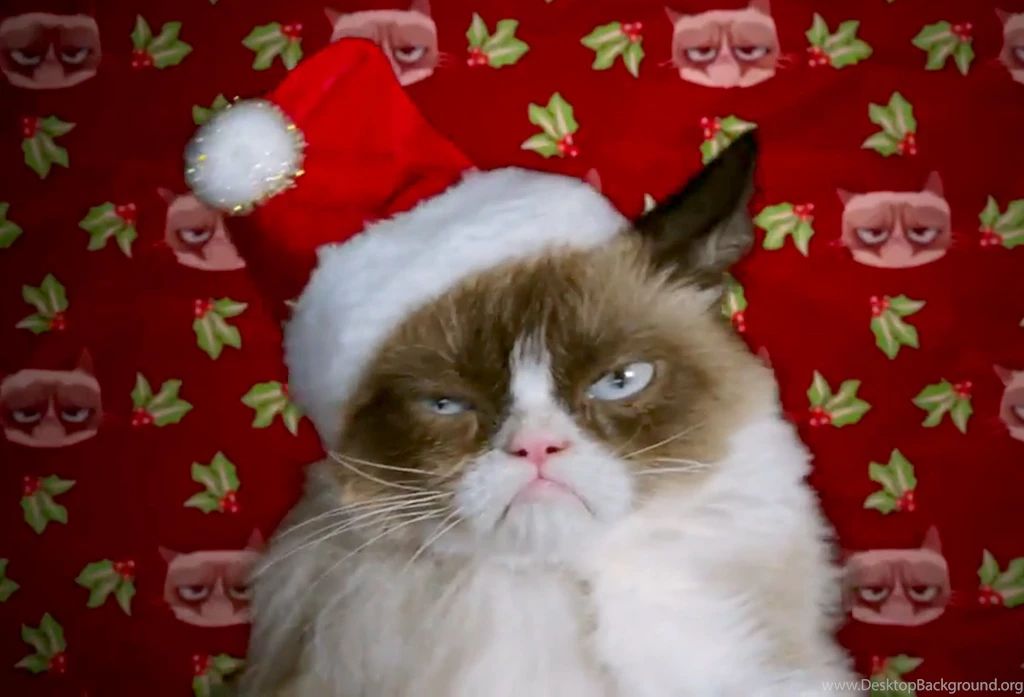 Grumpy Cat Christmas Hat   Wallpaper.