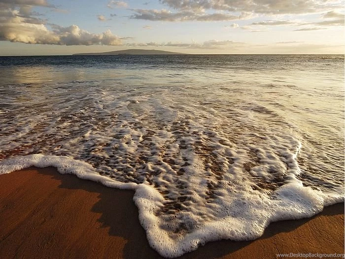 Photos: 18 Hawaiian Shore   Wallcoo.net