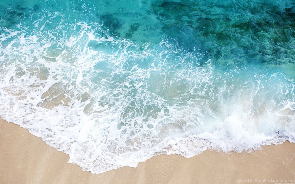 Water Beach Sand Shore : Desktop And Mobile Wallpapers : Wallippo