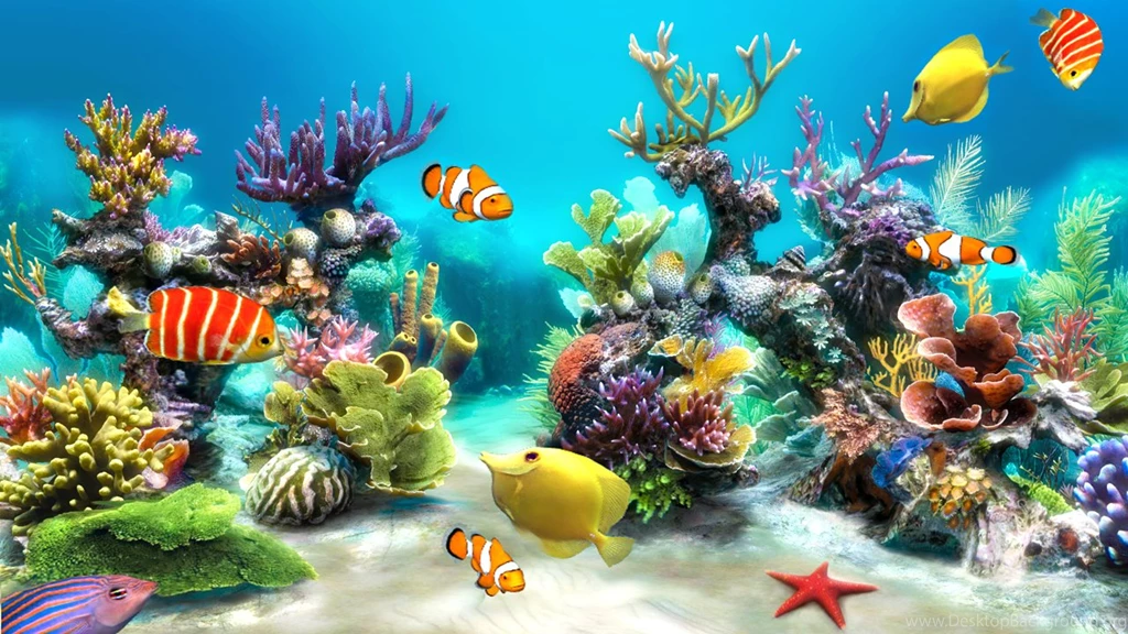 Live Wallpapers
