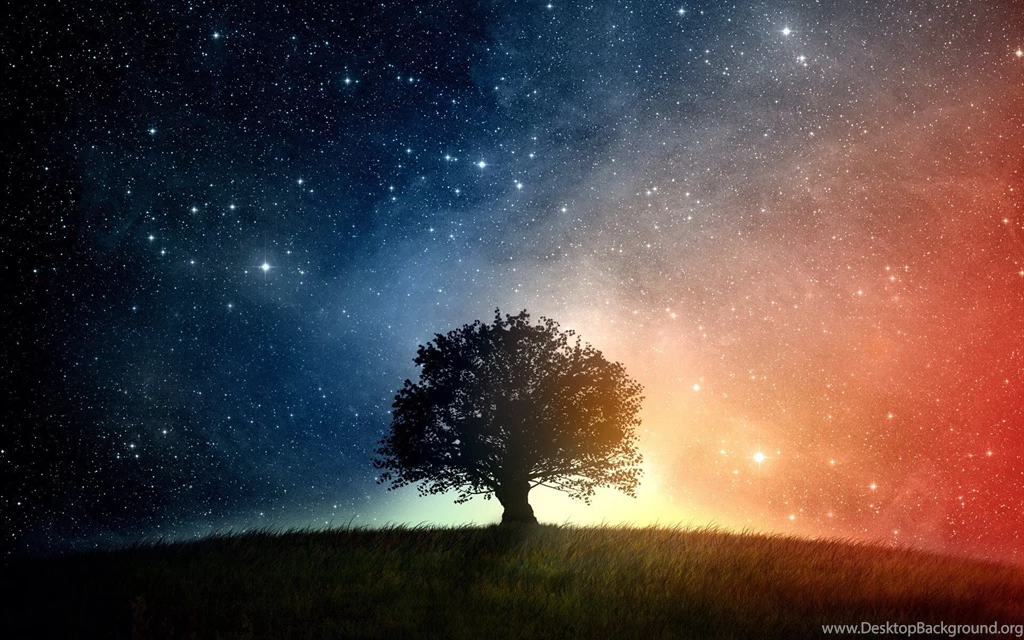 Space Tree [1920x1200] : Wallpapers
