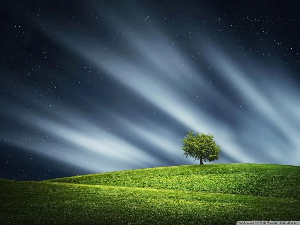 Lone Tree HD Desktop Wallpapers : Widescreen : High Definition ...