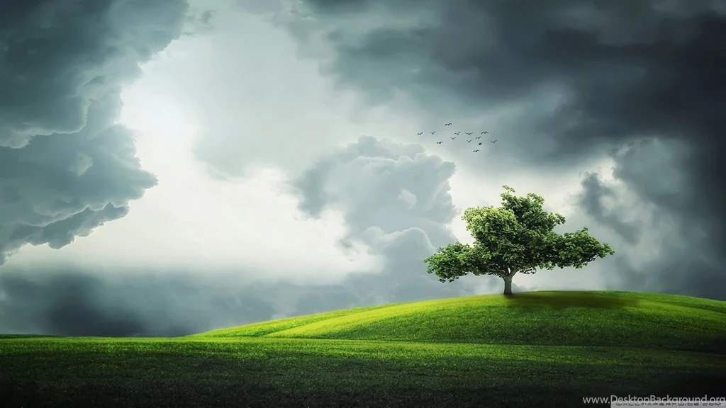 Lone Tree On A Hill HD Desktop Wallpapers : Widescreen : High ...