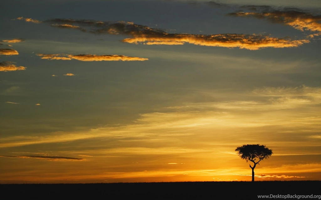 Download Acacia Tree Wallpapers Kenya World Wallpapers 1920x1200 ...