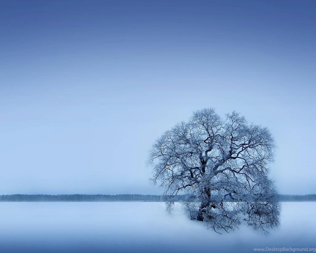 Lone Tree (