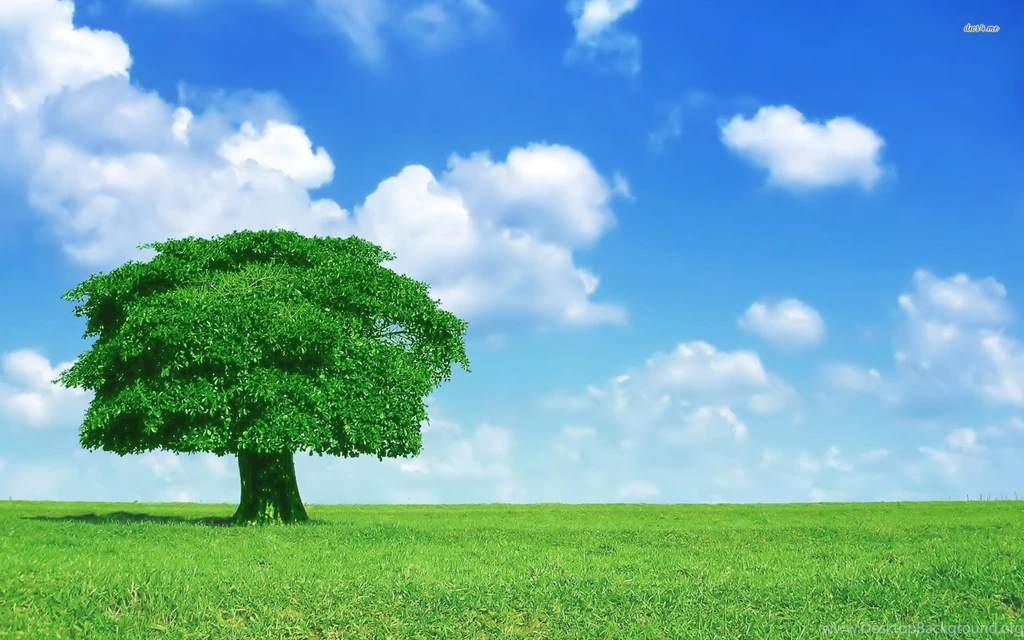 Lone Oak, Tree, Digital art, 1920x1200 HD Wallpapers And FREE Stock ...