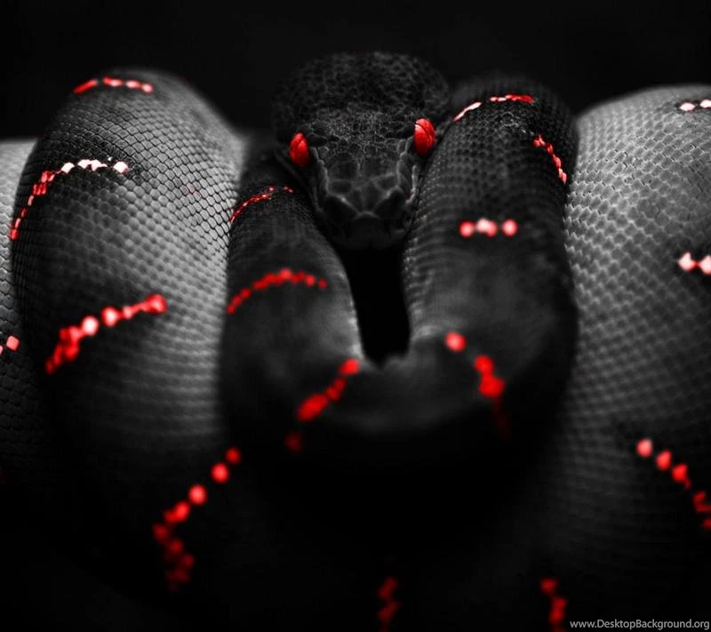 Download I Sssee You Wallpapers To Your Cell Phone   Awesome ...