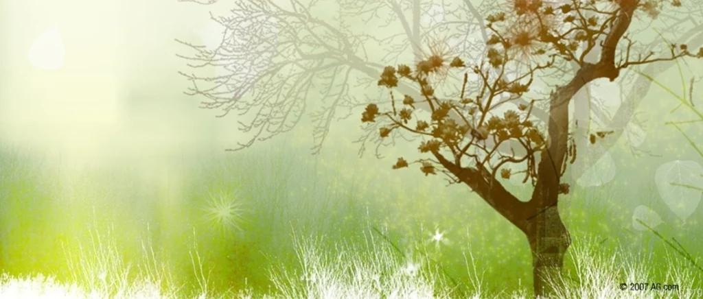 Index Of /~crumpkirklandfamily/images/Wallpapers