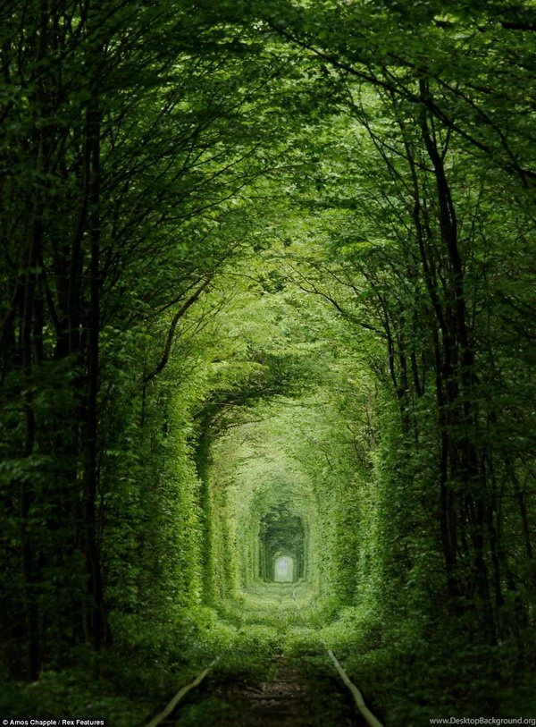 The Most Beautiful Scenery In The World