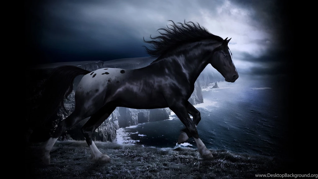 Horse In The Dark Wallpapers