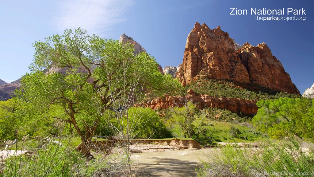 Sequoia National Park HD Wallpapers