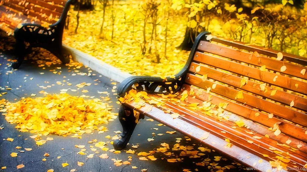 Benches HD Wallpapers