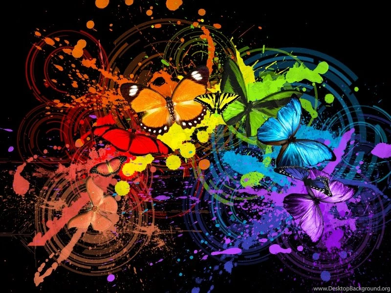 Butterflies,color Splash Butterflies Color Splash 1024x768 ...