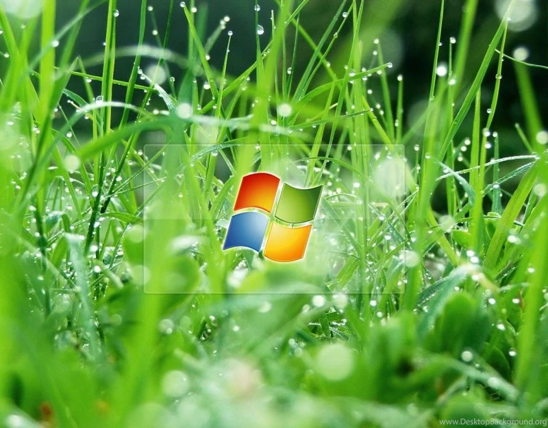 En Güzel Doğa Resmi Resimleri Windows Wallpapers