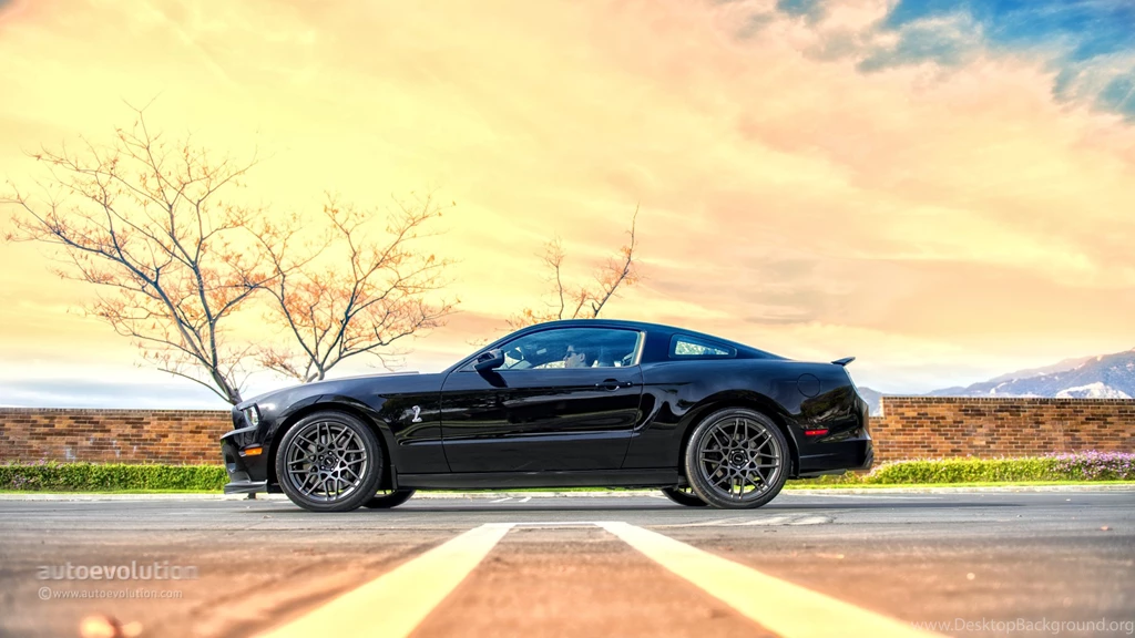 2014 Ford Mustang Shelby GT500 HD Wallpapers