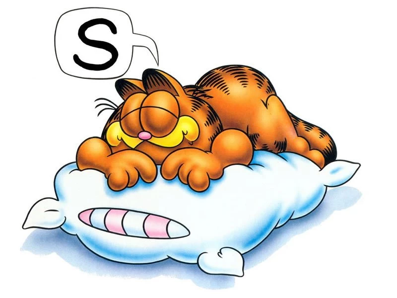 Sleeping Pictures