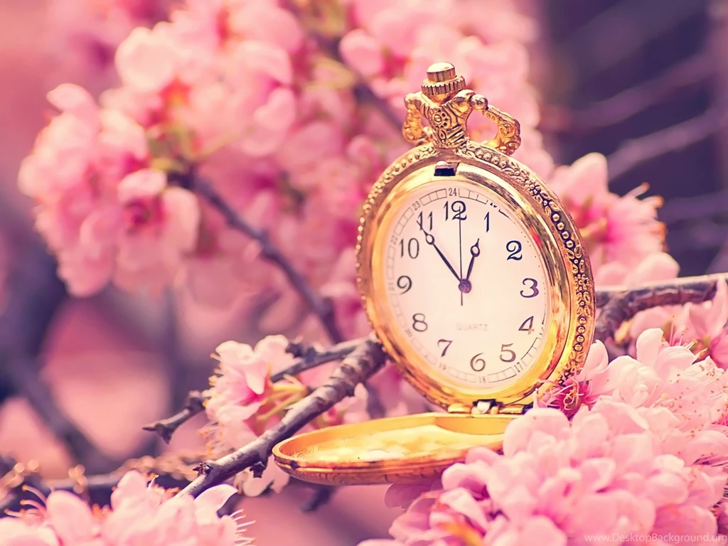 Colorful Spring Wallpapers (18 Photos)