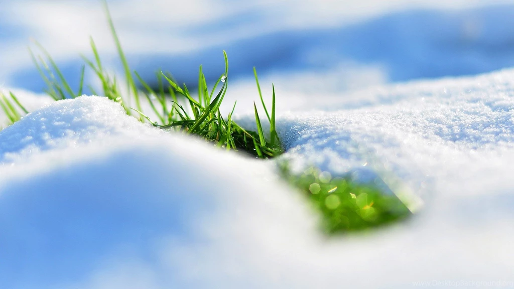 Full HD 1080p Spring Wallpapers HD, Desktop Backgrounds 1920x1080