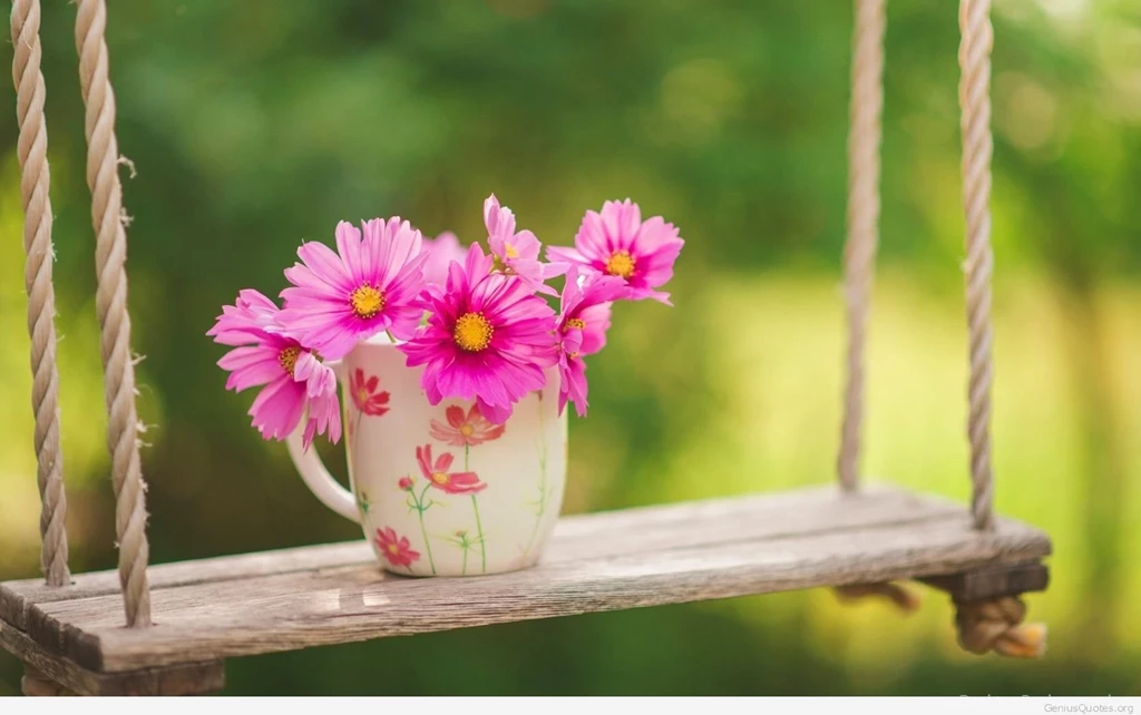 Spring Flowers Wallpapers
