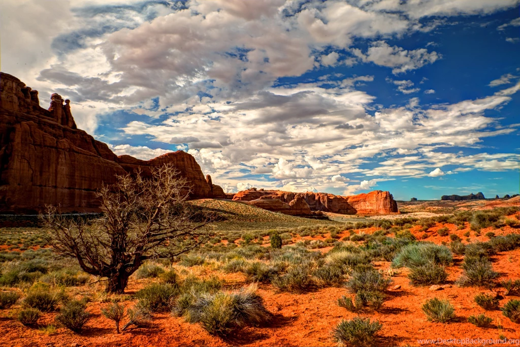 Arches National Park Arches National Park Utah Rock Utah Usa ...