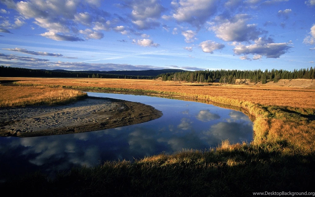 879917 River Wallpapers
