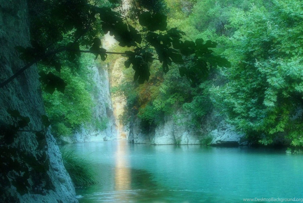 Forest River Wallpapers As