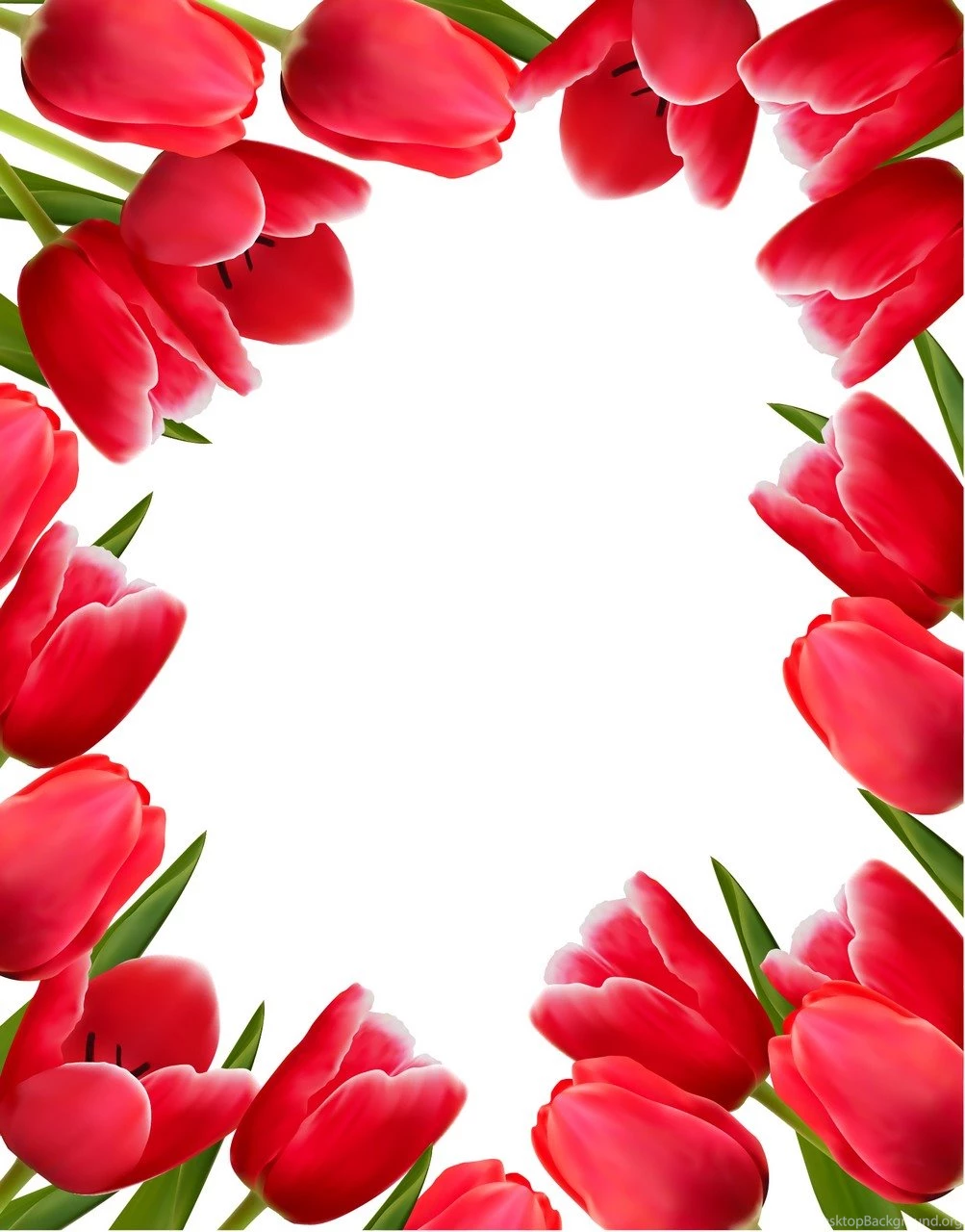 Flower, Tulip Backgrounds 02 Vector EPS Free Download, Logo, Icons ...
