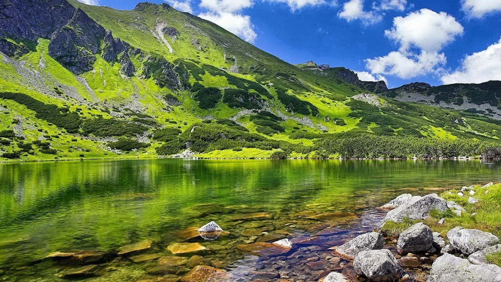 Wallpapers Hd PC