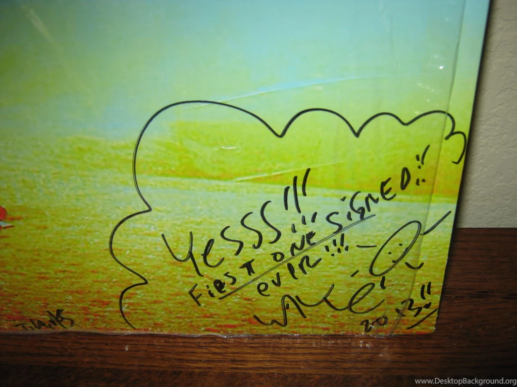 The Flaming Lips