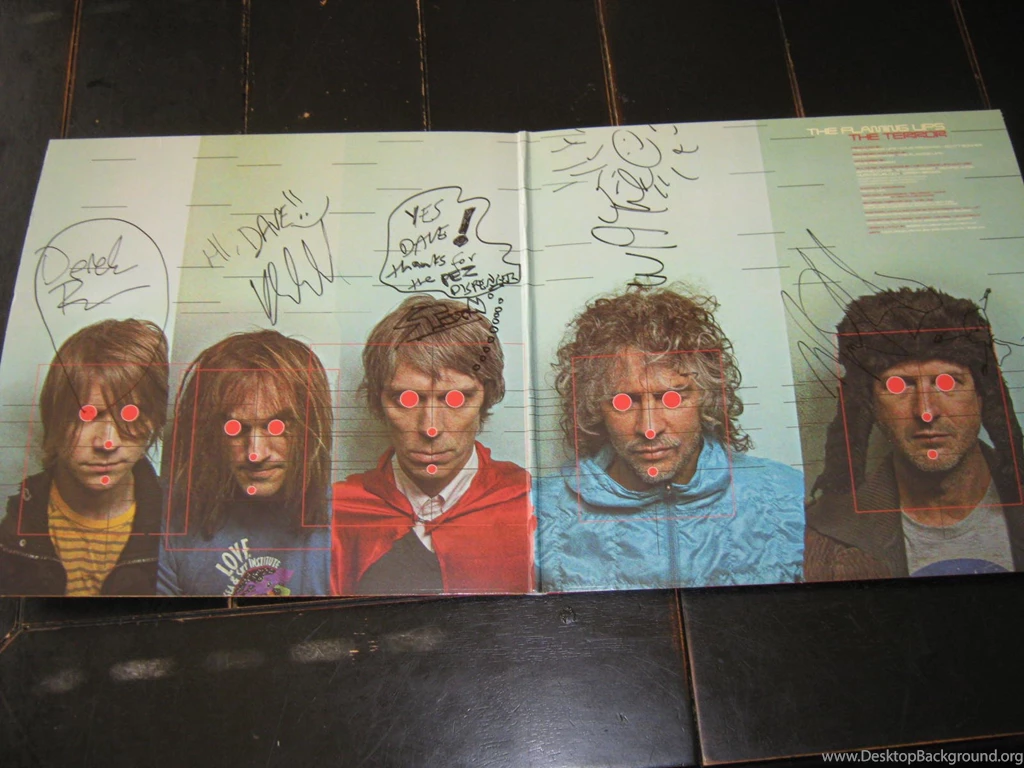 The Flaming Lips