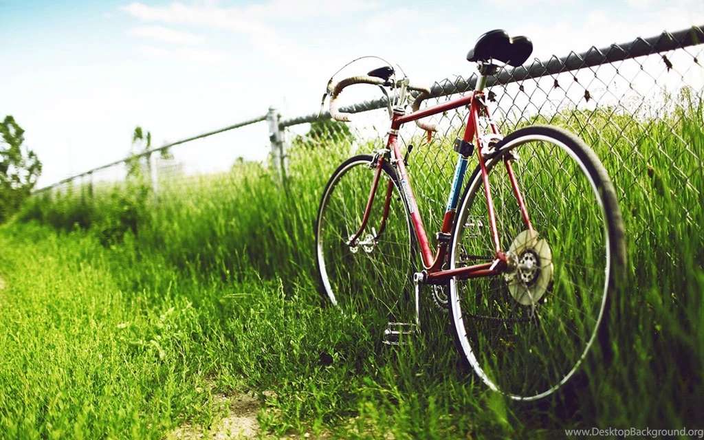 The Nostalgic Memory Bicycles Aesthetic Photography Wallpapers 12 ...
