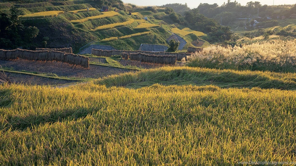 Hd Cool Country Green Farmland Desktop Backgrounds Widescreen And ...