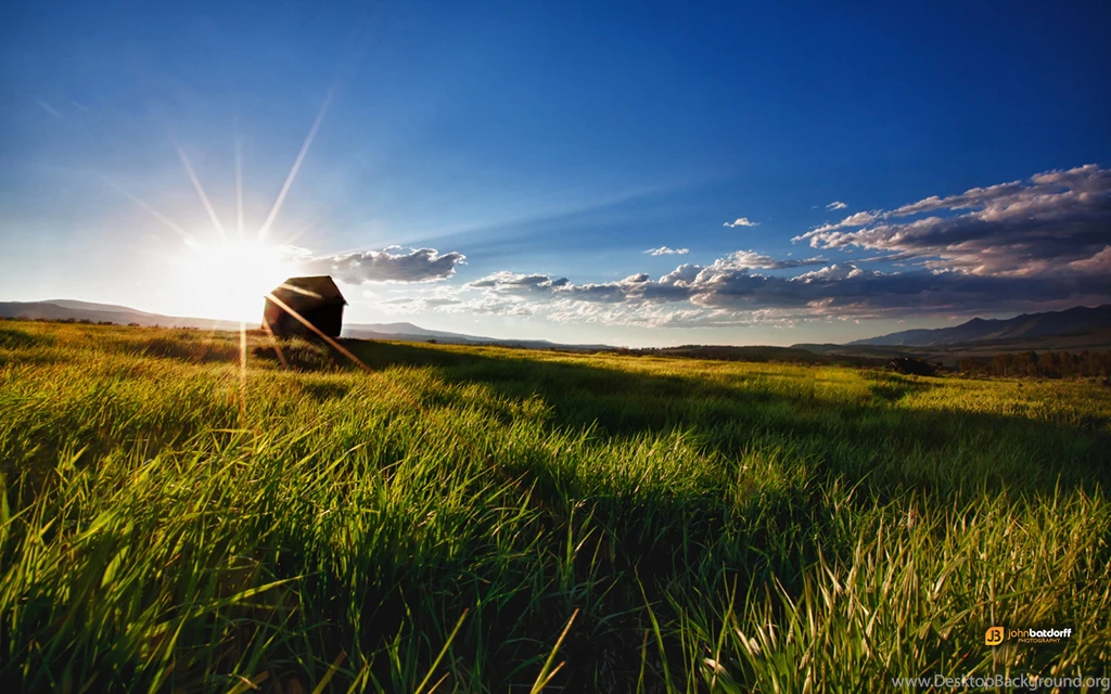 Back In Grizzly Country