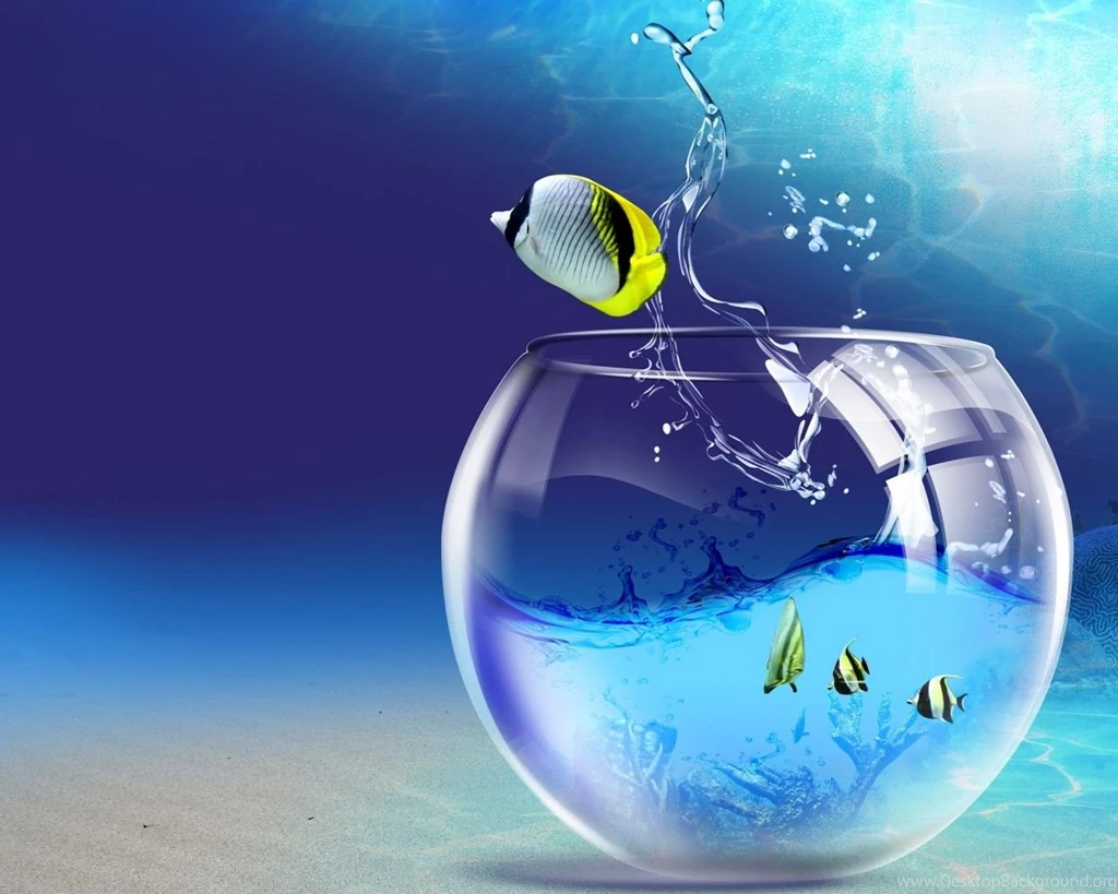 Full Screen Wallpapers For Desktop   Wallpapers Cave