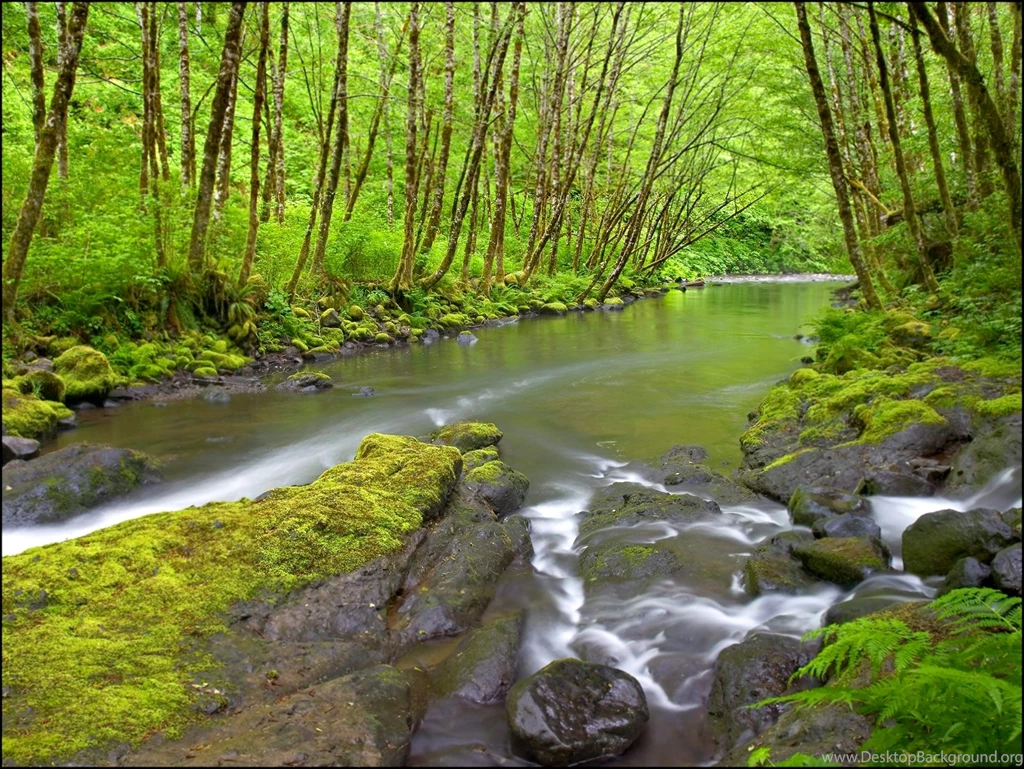 Full Hd Wallpapers Computer   6 Items