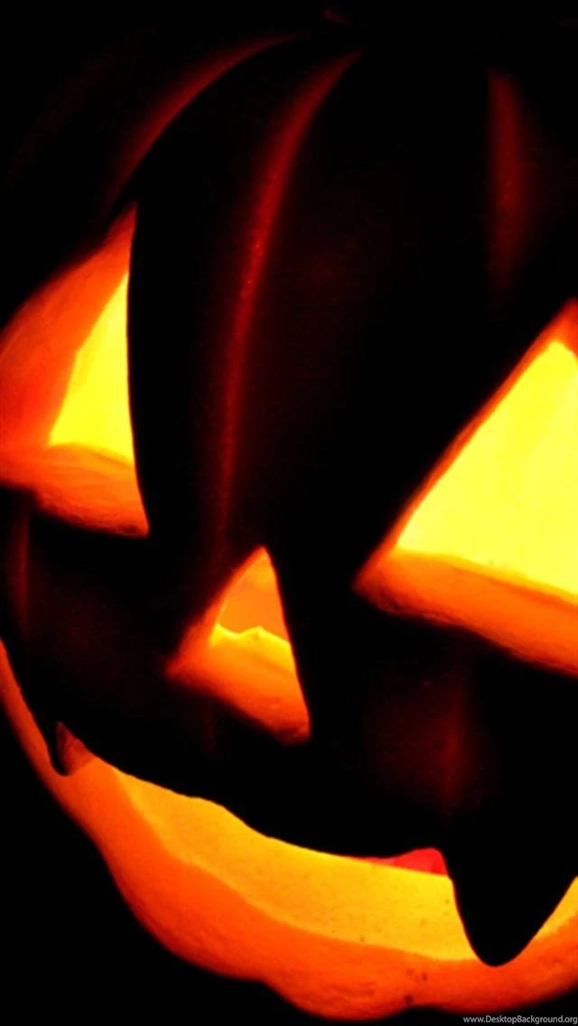 Festival iPhone Wallpapers And Backgrounds, HD Wallpapers   Part 3