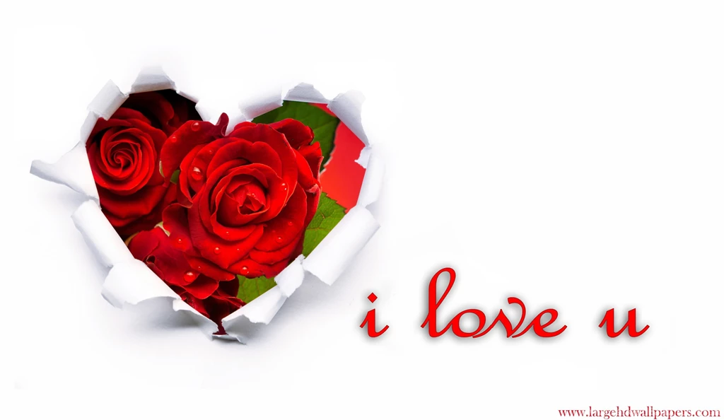 I Love U Rose Hearts Desktop Backgrounds 2016 Wallpapers Large HD ...