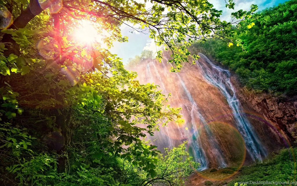 Waterfall Forest Wallpapers