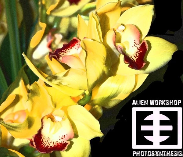 Alienworkshop DeviantArt