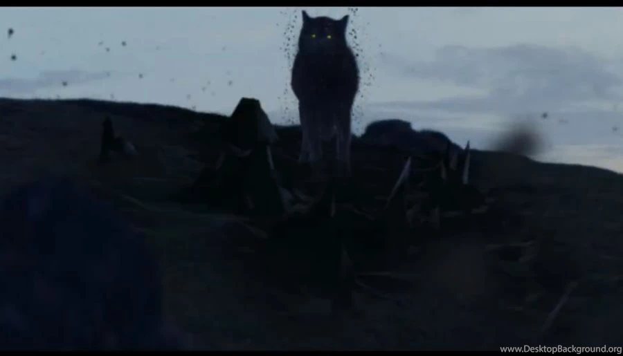 Shewolffallingtopieces   DeviantArt